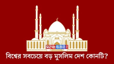 বিশ্বের সবচেয়ে বড় মুসলিম দেশ কোনটি?