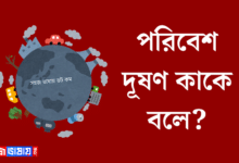 পরিবেশ দূষণ কাকে বলে? কত প্রকার? ও দুষণের কারণ জানুন